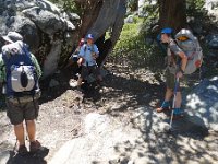 YosemiteCreek 011 : YosemiteCreek